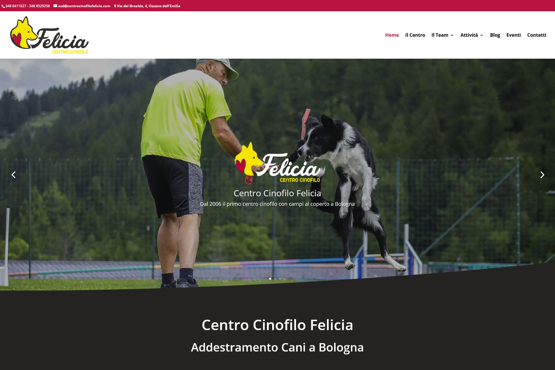 realizzazione-siti-internet-bologna-portfolio-centro-cinofilo-felicia realizzazione-siti-internet-bologna-portfolio-centro-cinofilo-felicia